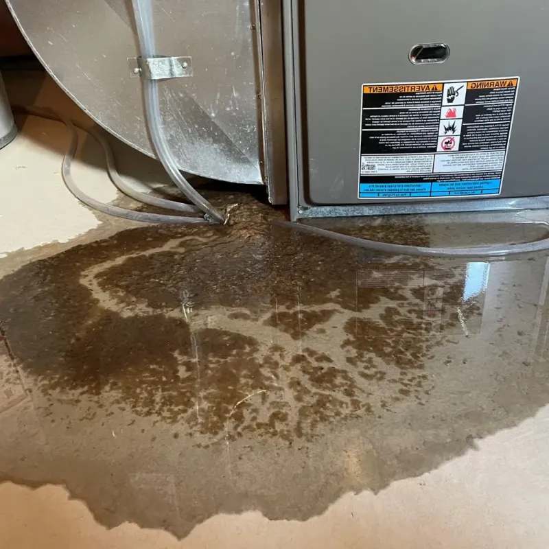 Pipe Burst and Leak Restoration in La Pine, OR
